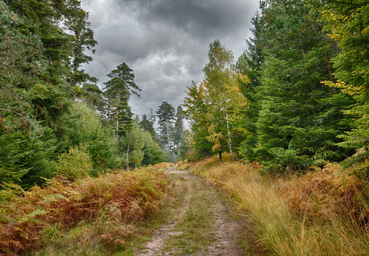 Hike Heiligenberg