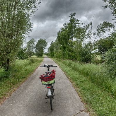 Summer morning commute