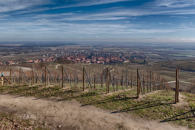 View over Dambach-la-Ville