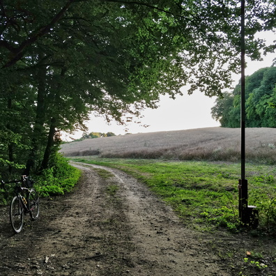 Woods next to PC 9 near Leudelange