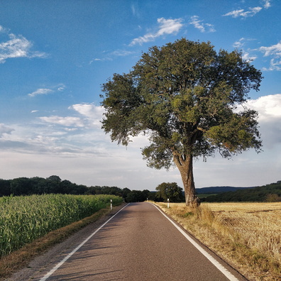 Country road