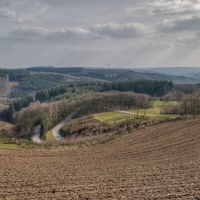 20180325_161545.jpg