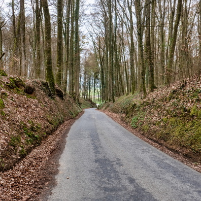 Road between Septfontaines and Schweich