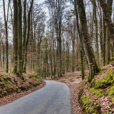 Road between Septfontaines and Schweich