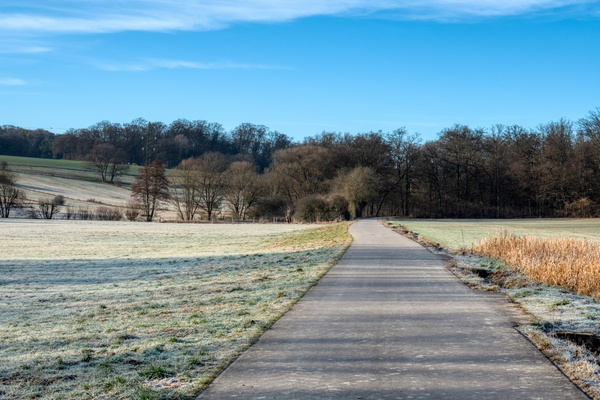 Frosty fields