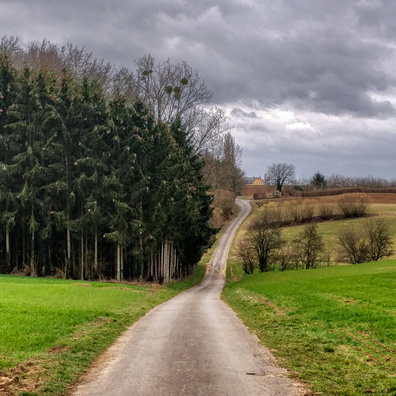 20190303_152804.jpg