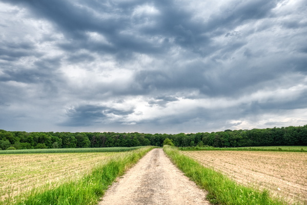 Just a track on the side, going nowhere except to the storm