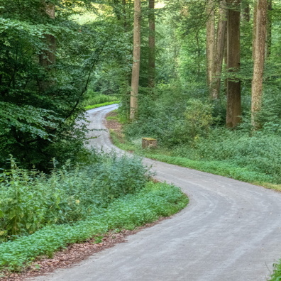 20190725_204815.jpg