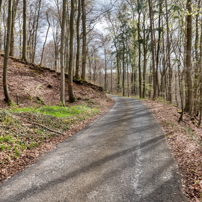 20180414_160015.jpg
