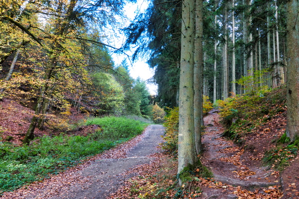 Mamerdal in autumn