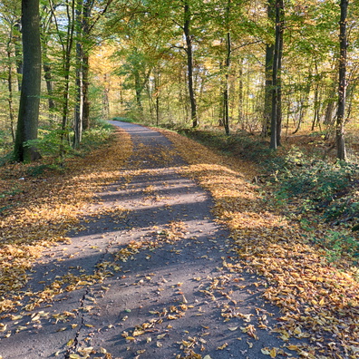 Autumn in Capellen