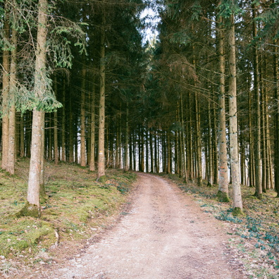 Sentier Charles Mathieu