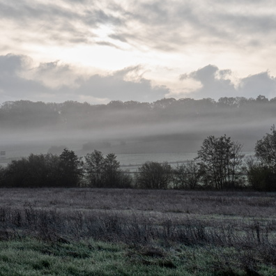 Misty morning commute