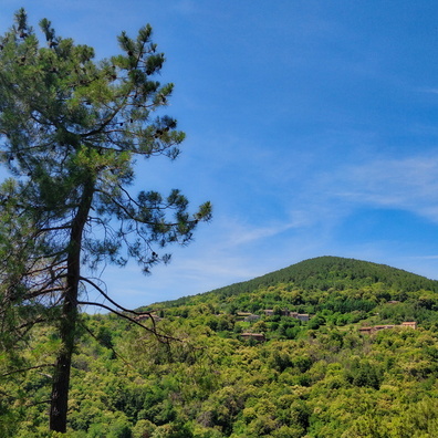 Scenery near Saint-Pierre-Saint-Jean