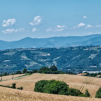20180620_124704.jpg