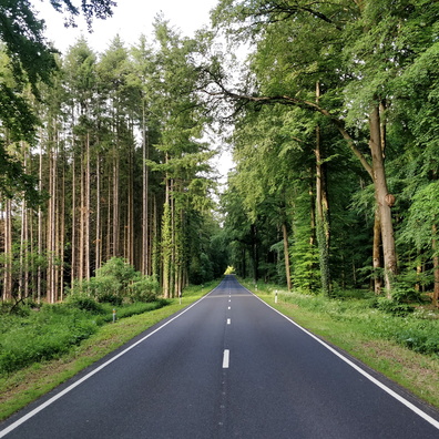 N 8 road near Hobscheid