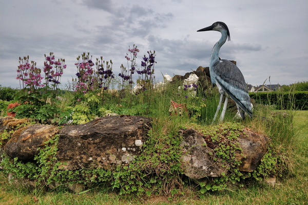 A garden in Steinfort