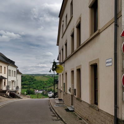 20200503_144614.jpg