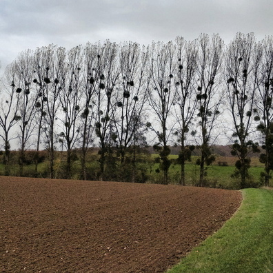 Bike exploration near Garnich