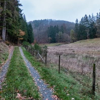 20201122_165431.jpg