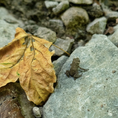 20180805_151211.jpg