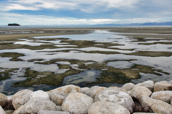 Low tide in Marahau