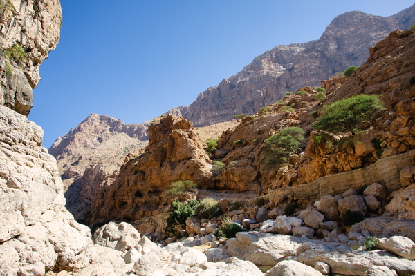 Wadi Tiwi