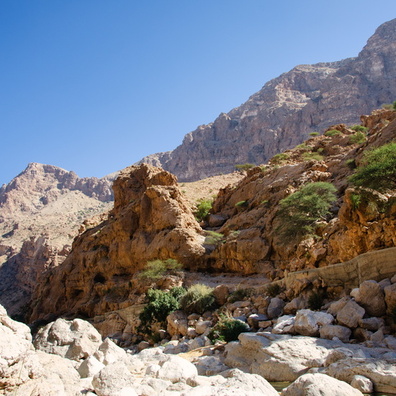 Wadi Tiwi