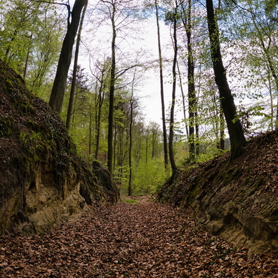 20210502_160329.jpg