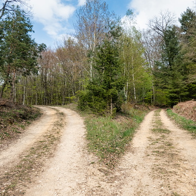 Track fork near Binzrath