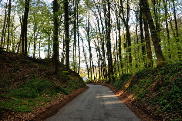 Road to Calmus from Septfontaines