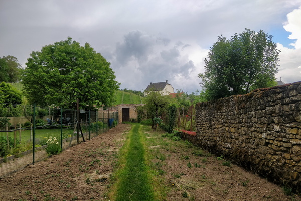 Garden in Ehnen