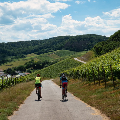 Moselle vineyards near Remerschen