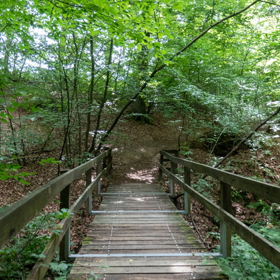 20210628_160607.jpg