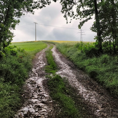 Track near Schlindermanderscheid