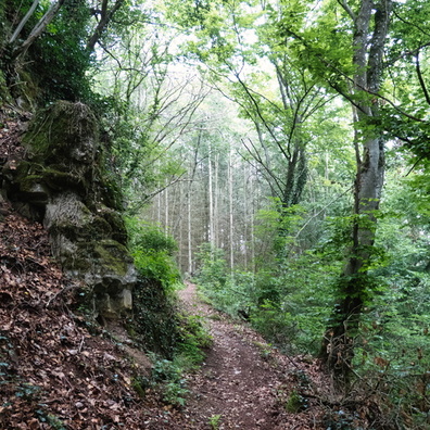 MTB trail Dalheim