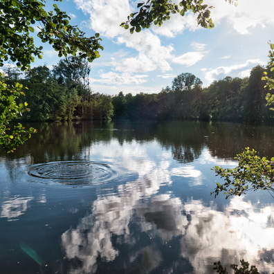 Kockelscheuer lake