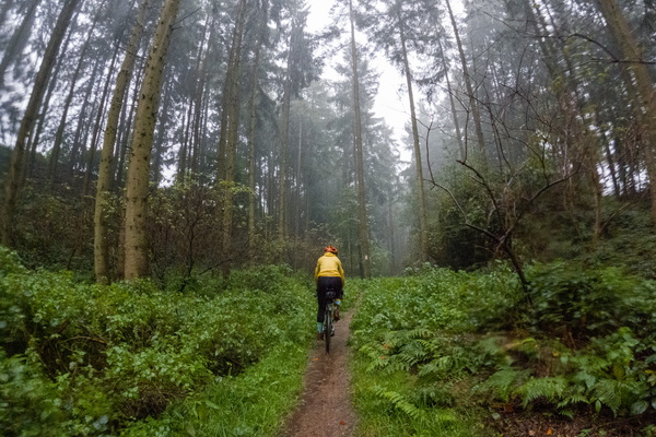 Cycling in the rain