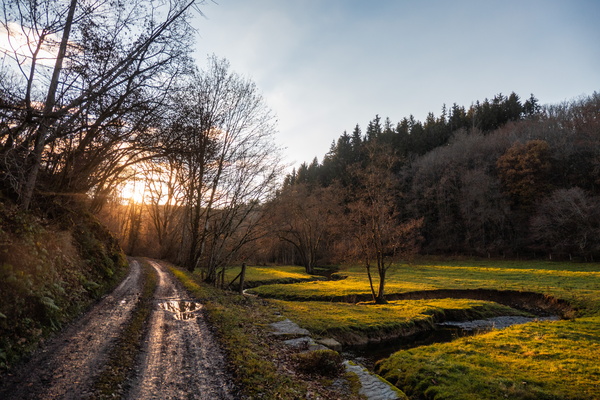 Track near Berlé