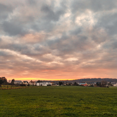 Sunset in Dahlem