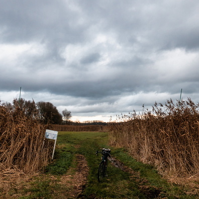 Schlammwiss Nature Reserve