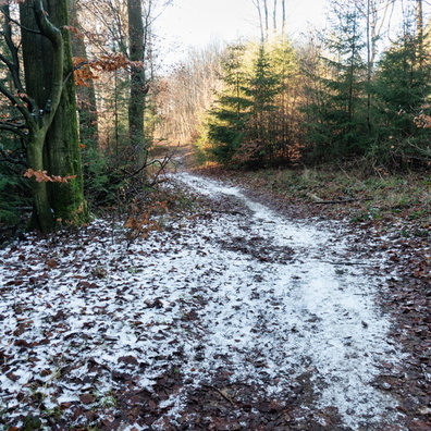 20220113_151921.jpg