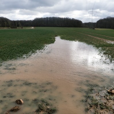 Puddle and wind near Roedgen