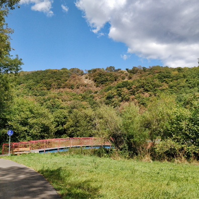 Bridge on the Enz Radweg