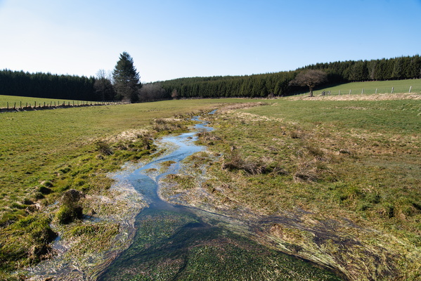 Creek at the border between two Nature Parks