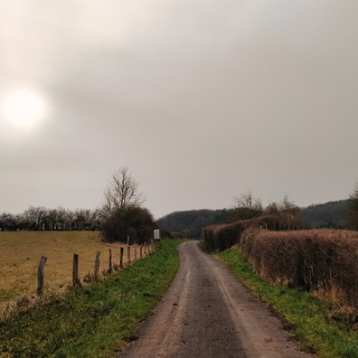 Track near Steinsel