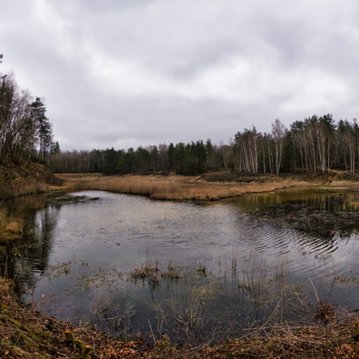 Steekollen Nature Reserve, Steinfort