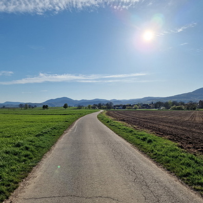 Vosges mountains from the plain