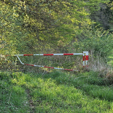 Abandoned track