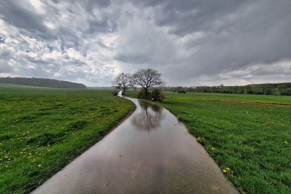 Rain near Holzem